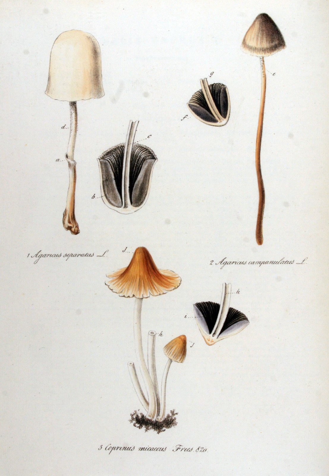 Mica cap — Photographs 3